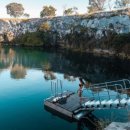 (주)웰니스팜 이미지