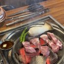 찬미돼지 이미지