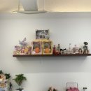 카페트라슈 이미지