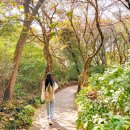 돌숲공원 화장실(주차장) 1 | 제주 돌문화공원 입장료 소요시간 | 자연 속 시간여행