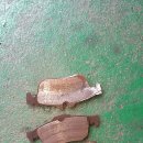 TG카정비 이미지