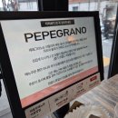 노원-현장-1275 | [서울/공릉] 공릉 애견동반 가능한 파스타 맛집 페페그라노 공리단길 내돈내산 또간집 추천