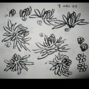 사군자 국화 이미지