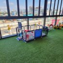 파스쿠찌평택세교DT점 이미지