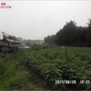 택지주유소 이미지