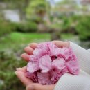 선흘1리경로당 이미지