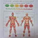 건강스트레칭 | 요양보호사근골격계예방교육 후기｜스트레칭으로 건강 지키는 방법