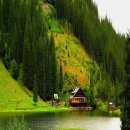 자연과  건강 이미지