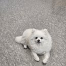 필라테스(재활운동/야간) | 잠실나루필라테스 잠실필라테스 1:1 재활필라테스 후기 리커버리유 재활운동센터