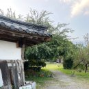 가야산로 | 대구 근교 경북 성주 한옥카페 아소재 메뉴 내돈내산