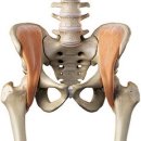 바디플러스 이미지