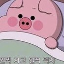 빌라드스파이시 - 중구 퇴계로 18 | 빌라드스파이시