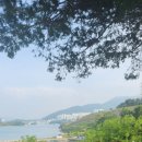 여수경도펜션 카라반 이미지