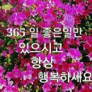 간판병원 - 공주시 검상고개길 180 | 간판병원