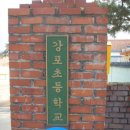 강포초등학교 이미지