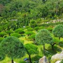 안전목장 이미지