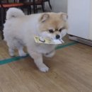 짬뽕세상 이미지