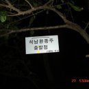 억새 춤추는 영.알은 天上의 花園 이미지