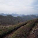 한치재주차장 이미지