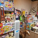 신장1길-1 | 동탄점집 [용궁신장] 친구 소개로 다녀온 종합점사 솔직 후기