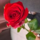 패자부활전 | 연인대전 패자부활전 참여 후기, 대전 청년만남 소개팅 프로그램 (연in대전)