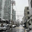 늘푸른동아 이미지