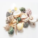 좋은친구들 이미지