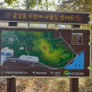 특별자치시 금남면 산림박물관길 110에 위치한 충남도 산림자원연구소 운영의 완벽한 자연휴양림 확인하기