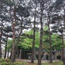 화도진로 이미지