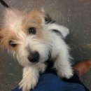 번개랜드 이미지