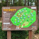 용인자연휴양림 광장 이미지