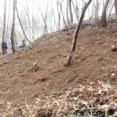 영심농장 이미지