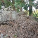 상예동-7 이미지