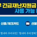 애니카랜드화원점