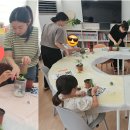 [마음을 키우는 반려식물키트 나눔지원사업] _ 모니터링 이미지