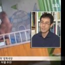 표범발