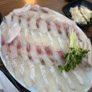 광어삼촌 이미지