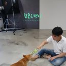 희비꽃비사진관