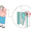 우신향정형외과의원 이미지