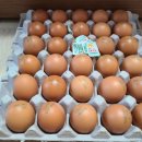 쥴리앤벨라 이미지