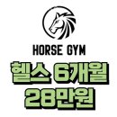 홀스짐 | 불당동헬스장 천안시 서북구 헬스 PT pt 피티 홀스짐 PT 헬스 가격 위치 주차 후기