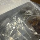 친정 | [그로서리 친정김 반찬 후기｜김 먹고 반찬까지 먹어본 솔직 리뷰]