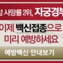 미즈앤미의원 Daum카페