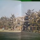 성준정비 | 대구중학교(대구)34회