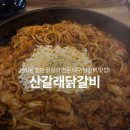 산갈래숯불닭갈비 | 대구 닭갈비 맛집 산갈래닭갈비 장기먹자골목 철판 닭갈비 후기