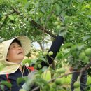 죽암영농 이미지