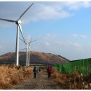 완도2호선 이미지