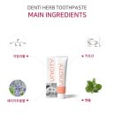 유니덴탈코리아 네이버블로그