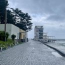 송정해수욕장 1호 이미지