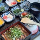 금곡바다장어구이 | 부산 기장 장어 맛집 바다앤장어 히츠마부시 바다장어구이덮밥 후기
